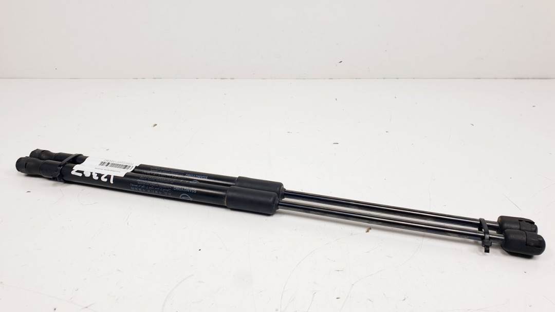 AMORTIGUADORES MALETERO / PORTON